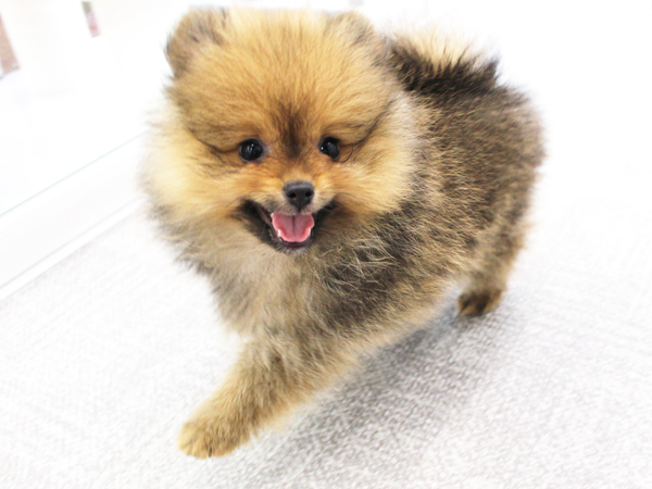 今日から５月！